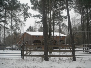 Snowy day at La Maison don le Bois